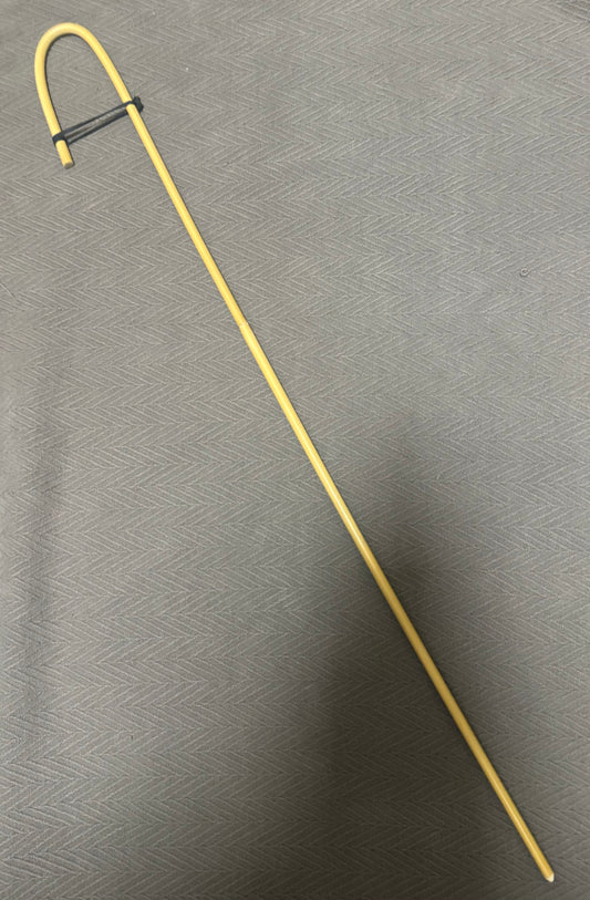 The Aristasia Disciplinary Cane - Birth and Revival of a Concept Disciplinary Cane