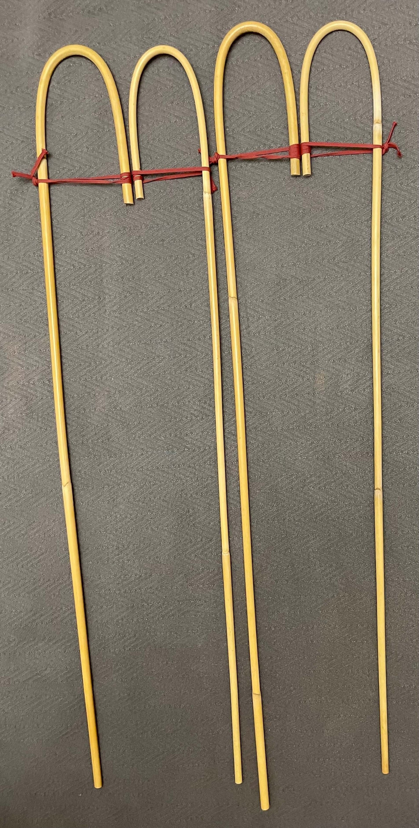 Set of 4 Classic Dragon Rattan Crook Handle English School Punishment Canes / Senior Cane / Reformatory Cane / Victorian School Canes - Englishvice Canes