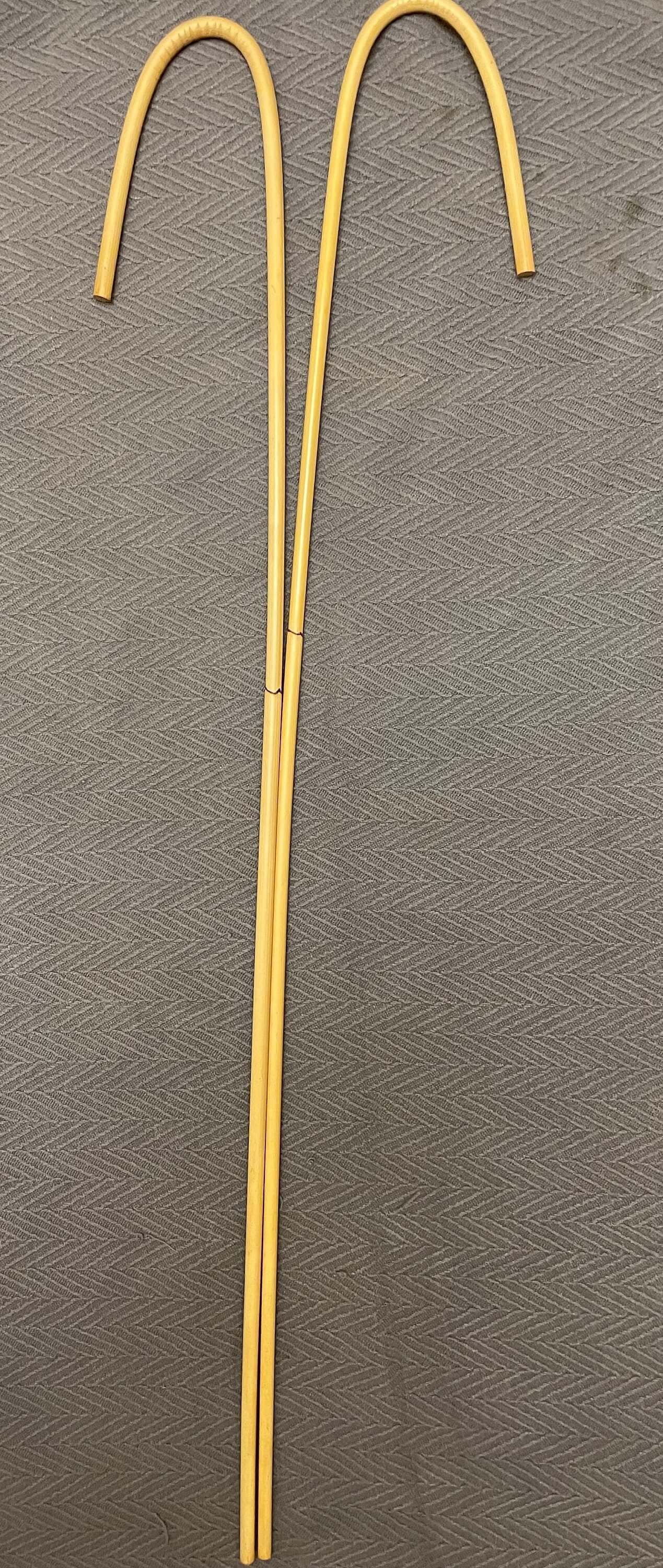 Elite Traditional English Crook Handle Dragon Rattan School Canes